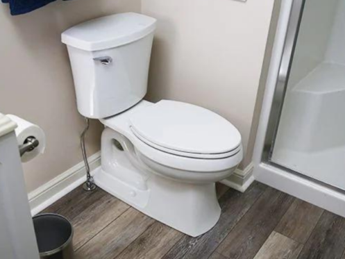 image of a newly installed toilet