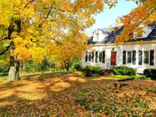 Home in the fall