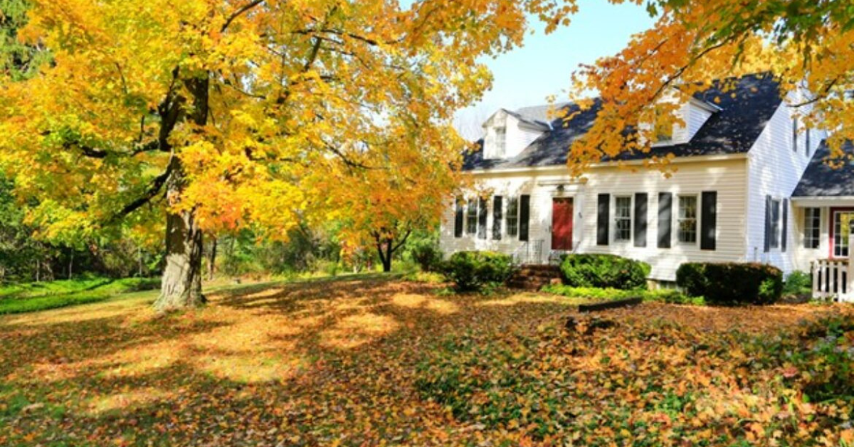 Home in the fall