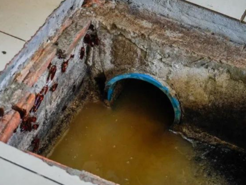 image of a grease trap