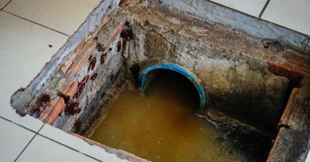 image of a grease trap