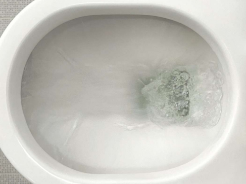 image of a low flor toilet