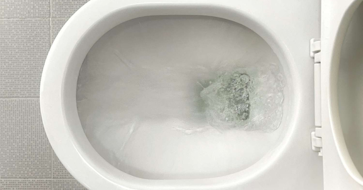 image of a low flor toilet